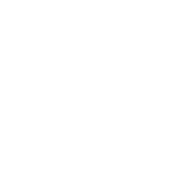 Noise